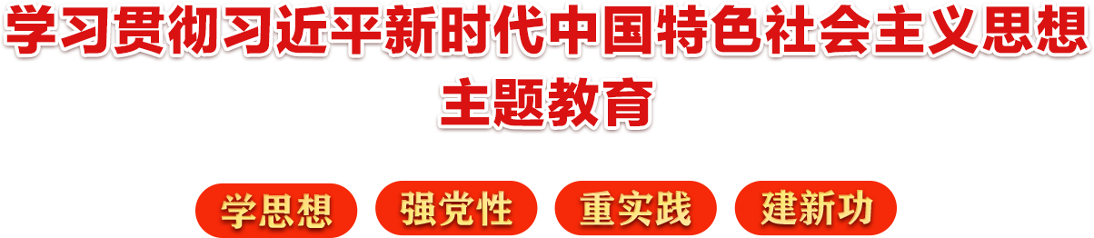 学习贯彻习近平新时代中国特色社会主义思想主题教育