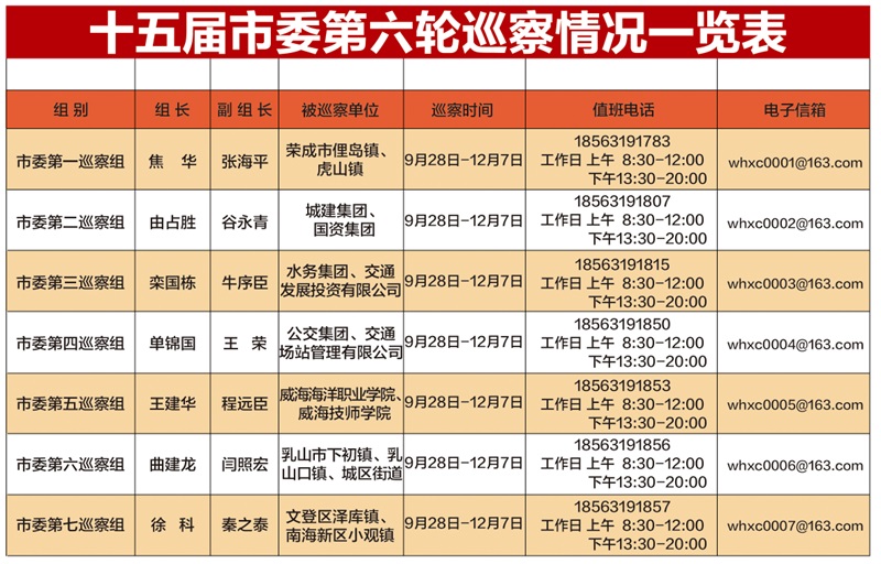 十五届市委第六轮巡察情况一览表