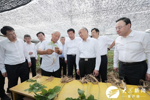 林武在威海调研并督导群众身边不正之风和腐败问题集中整治工作