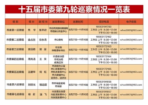 十五届市委第九轮巡察情况一览表